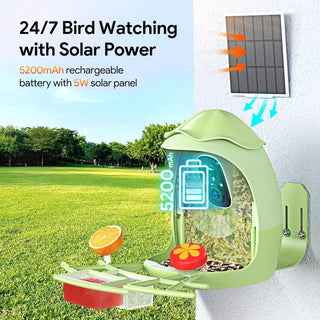 Osoeri Smart Bird Feeder with Camera - AI Identify & 2K HD Live Video, Instant Arrival Alerts, Solar Birdhouse for Outdoor, Hummingbird Watching Gifts for Bird Lover & Family, 2.4GHz WiFi