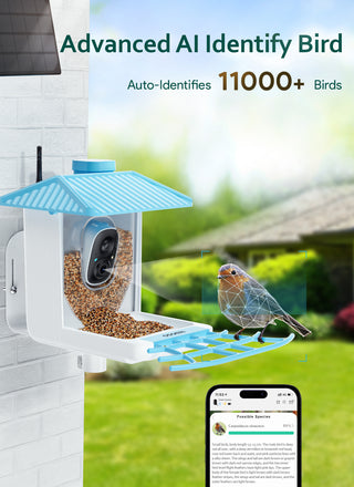 Osoeri Bird Feeder with Camera - Solar Smart Bird Feeder with AI Identify, 1080P HD Auto Capture Birds Video, Real-Time Alerts, Gifts for Family and Friends, 2.4GHz WiFi