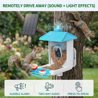 Easoger Smart Bird Feeder with 1080P HD Auto Capture Bird Videos & Motion Detection, 1.3 L Capacity