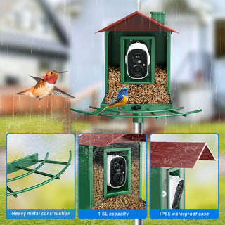 Solar Metal Smart Bird Feeder with Camera, AI Identify Video Wild Bird Box for Outdoor - Green