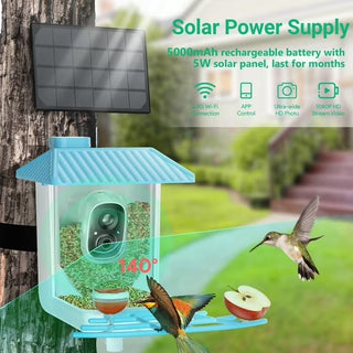 Easoger Smart Bird Feeder with 1080P HD Auto Capture Bird Videos & Motion Detection, 1.3 L Capacity