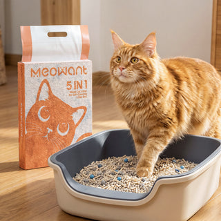 Osoeri 5-in-1 Clumping Multi Cat Litter, Dust-Free, Low Tracking, Dust-Free, Odor Control, 15.87 lb (7.94 lb/ Pack)