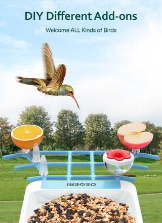 Osoeri Bird Feeder with Camera - Solar Smart Bird Feeder with AI Identify, 1080P HD Auto Capture Birds Video, Real-Time Alerts, Gifts for Family and Friends, 2.4GHz WiFi