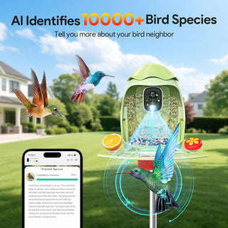 Osoeri Smart Bird Feeder with Camera - AI Identify & 2K HD Live Video, Instant Arrival Alerts, Solar Birdhouse for Outdoor, Hummingbird Watching Gifts for Bird Lover & Family, 2.4GHz WiFi