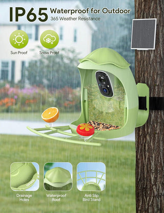 Osoeri Smart Bird Feeder with Camera - AI Identify & 2K HD Live Video, Instant Arrival Alerts, Solar Birdhouse for Outdoor, Hummingbird Watching Gifts for Bird Lover & Family, 2.4GHz WiFi