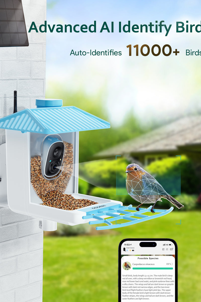 BIRD FEEDER – Osoeri